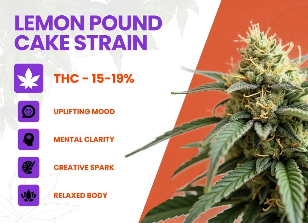 lemon pound cake strain